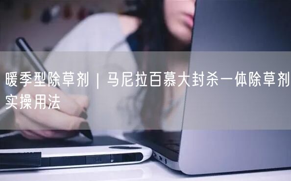 暖季型除草剂｜马尼拉百慕大封杀一体除草剂实操用法